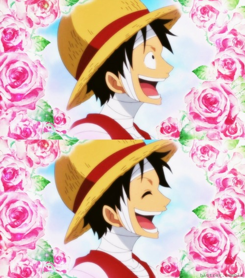 :    | One Piece | /     ,