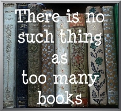 There is really no such thing as too many books.