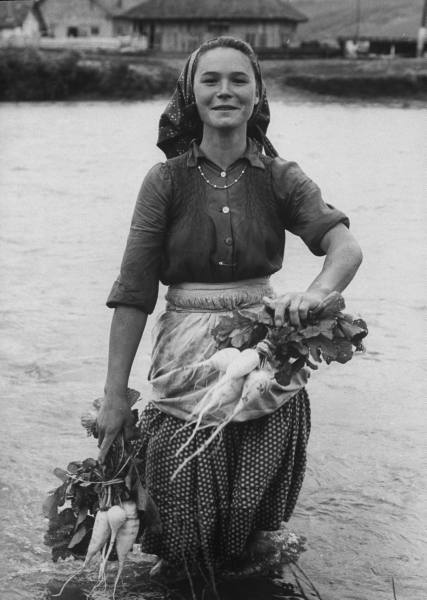 theformofbeauty:

Girl farm worker washing turnips in the river on a collective farm. Photograph by Paul Schutzer. Romania, 1963.