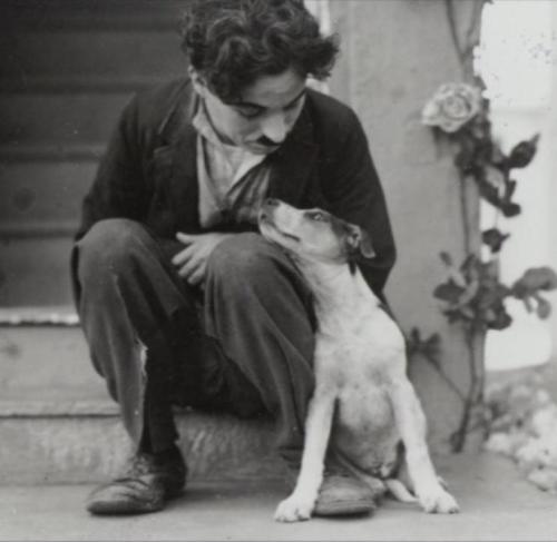 
Charles Chaplin
