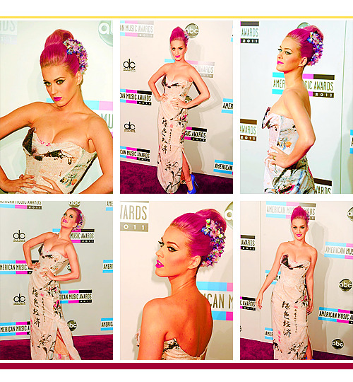 American Music Awards 2011 - Red Carpet.