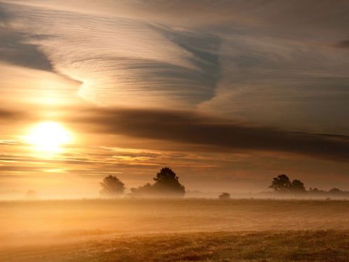 Morning Landscape, LithuaniaPhoto: Eugenijus Rauduve