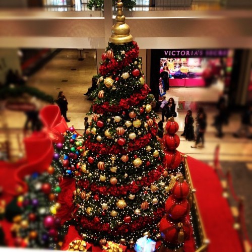 eddiemurray27:

#mall #christmas #decor #display (Taken with instagram)
