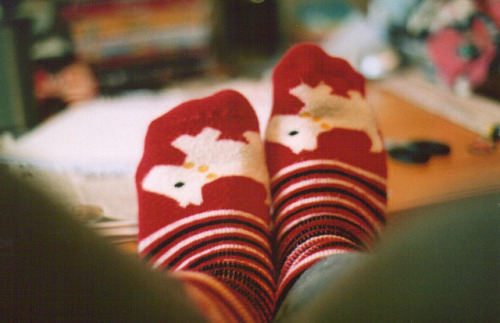 jarrodis:

(christmas socks)
