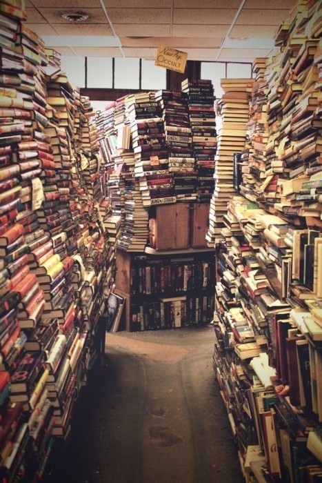 chantelletereasabrown:

chantelletereasabrown: This is pretty much my idea of heaven
