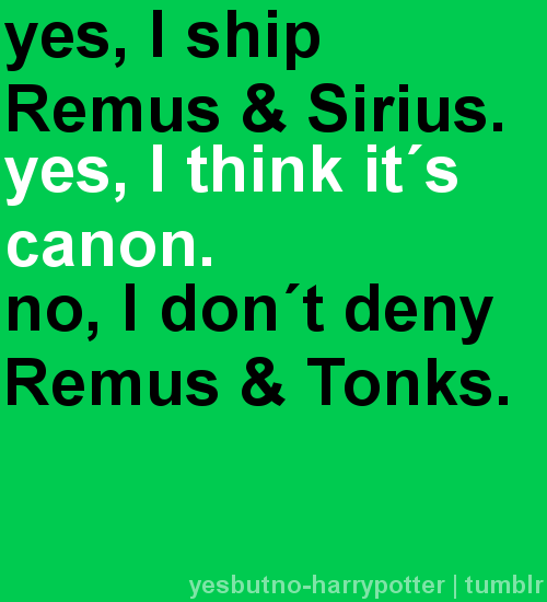 Yes, I ship Remus and Sirius. Yes, I think it&#8217;s canon. No, I don&#8217;t deny Remus and Tonks