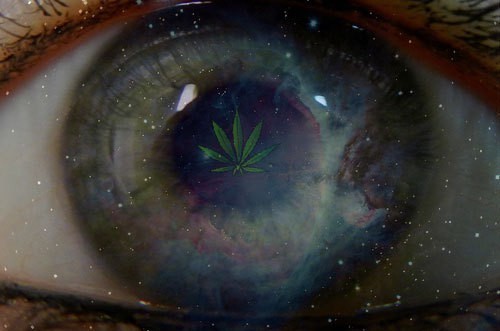 The view of weed galaxy .