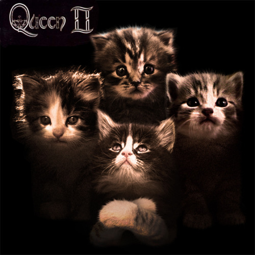Image result for album cover art cat parody