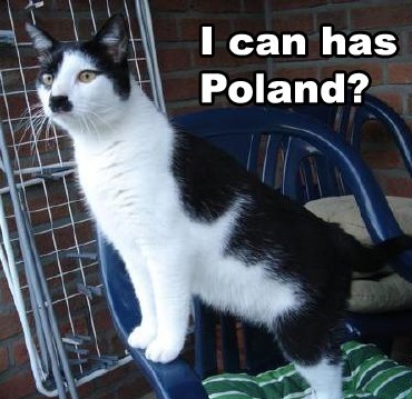 Cats That Look Like Hitler