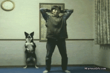 
scadsai:


Here is a video of a dog doing squats.  Your reasons for not working out are now invalid.

