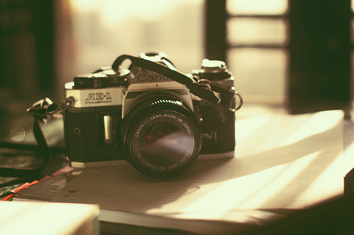 ❁ Cameras ❀