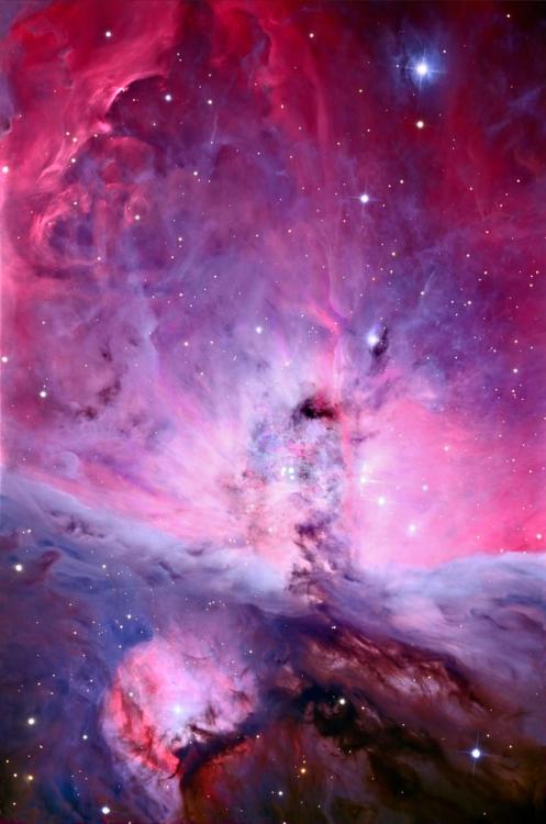 wake-up-n-live:

The center of the Orion Nebula
