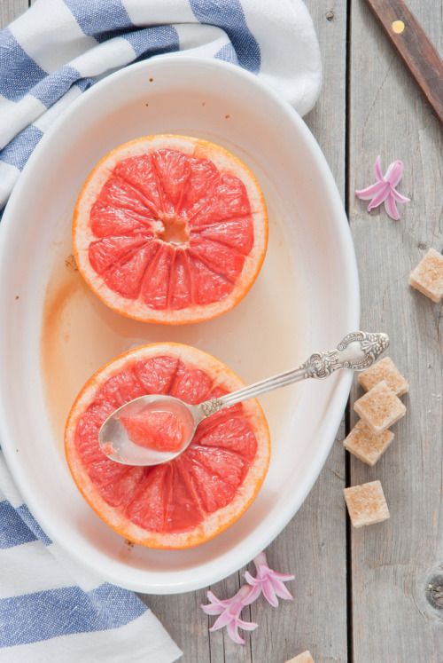 neekaisweird:

Baked grapefruit (by letterberry)
