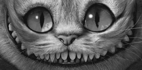 Resultado de imagem para gato de alice macabro tumblr