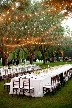 outdoor receptionreceptionweddingwedding ideastwinkling lightstwinkle lights