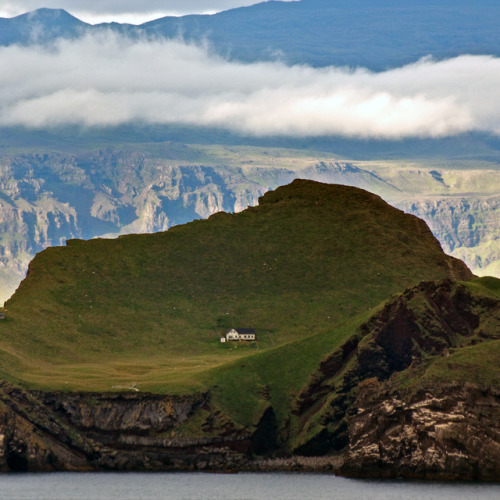 Ellidaey Island Iceland