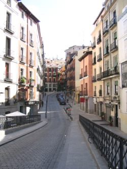 En gata i Madrid