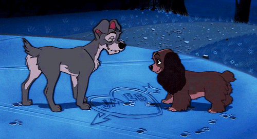 Image result for lady and the tramp gifs