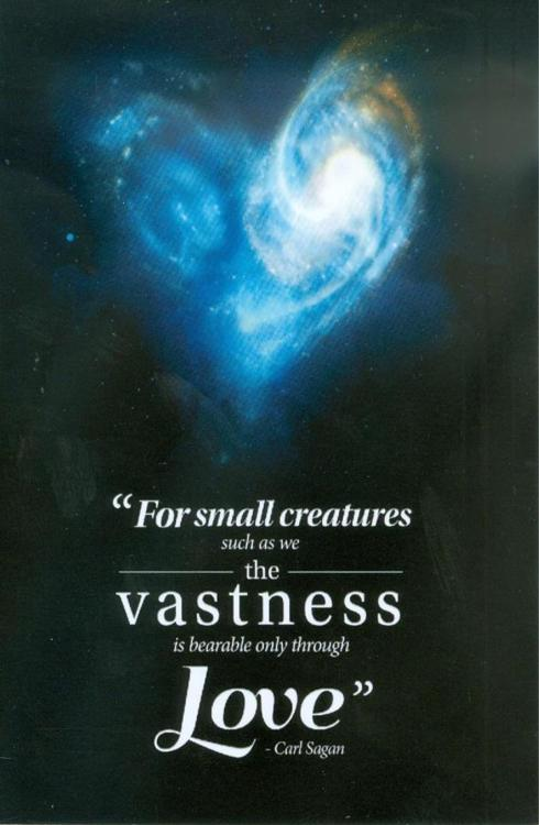 For small creatures such as we the vastness is bearable only through love