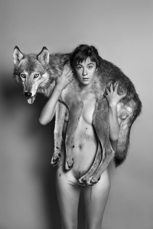 Michelle Wolf Nude