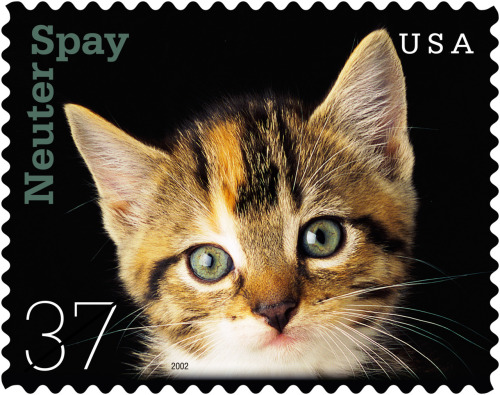 USA Stamp: Neuter Spay 35¢ (2002