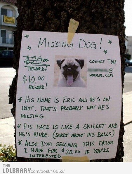 Missing DogFollow this blog for the best new funny pictures every day