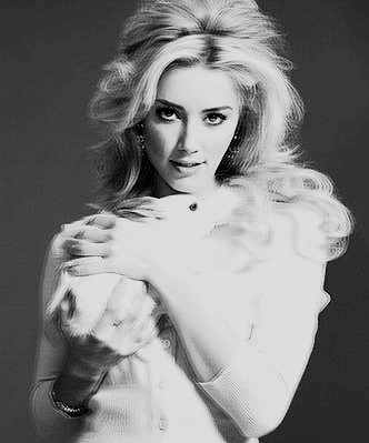  amber heard photoshoot black and white my edits Loading Hide notes