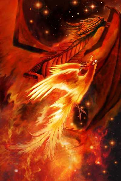 art dragon fire phoenix fantasy