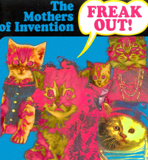 The Meowers of Invention