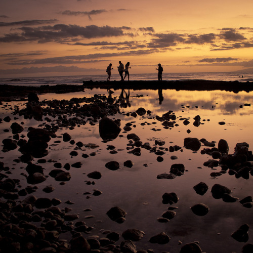 Sunset with Friends by Gilderic Photography on Flickr.