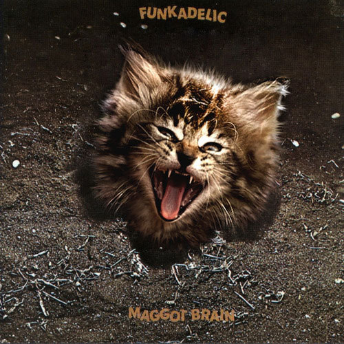 (via Classic Album Covers Reimagined With Kittens » Design You Trust – Design and Beyond!)