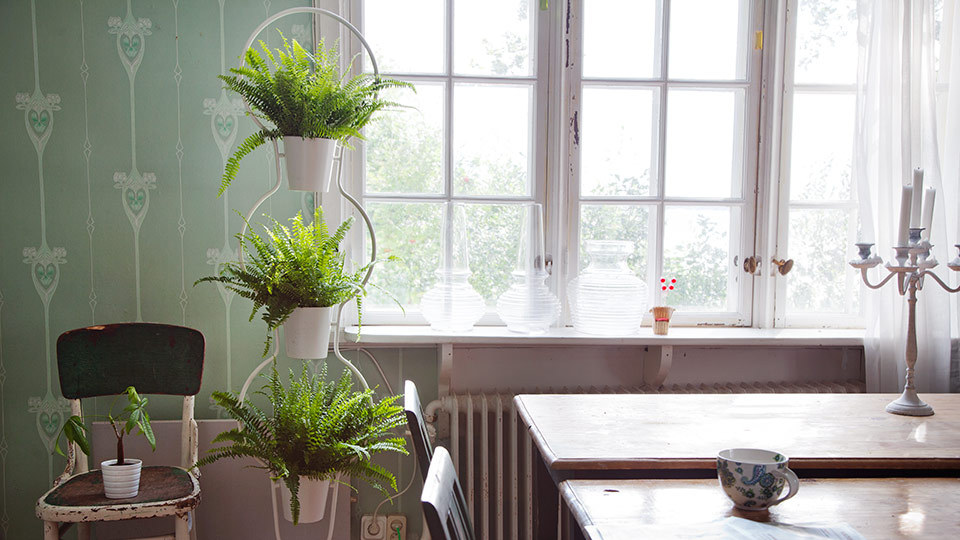 From Scandinavia with love - design & style (Herb garden by ...