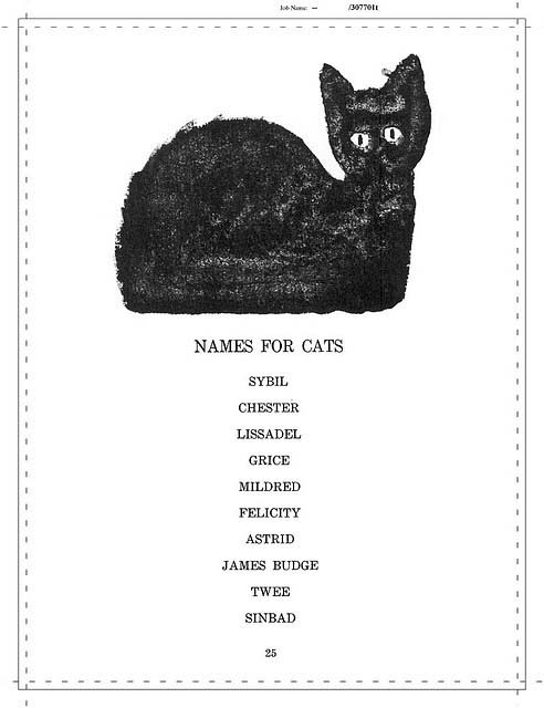 this isnu002639t happiness names for cats peteski names for cats 492x640
