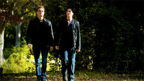 Stefan: Infelizmente se Alaric matá-lo há uma chance em quatro de nós morrermos também.

Damon: Vou correr o risco. 
Stefan: E com certeza o Tyler morre. 
Damon: Por mim sem problemas. 
