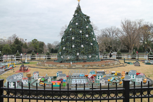 The National Christmas Tree has died Fare tree nicely: The ...