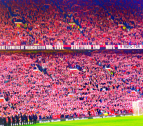 
3/100 photos of Manchester United.
