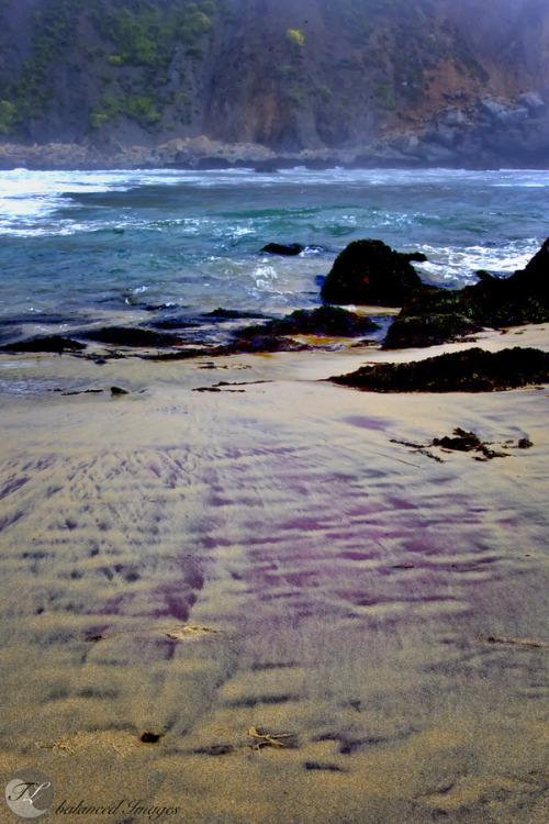 &#8220;Surprisingly, Purple Sand?&#8221; by Todd Livermore :)