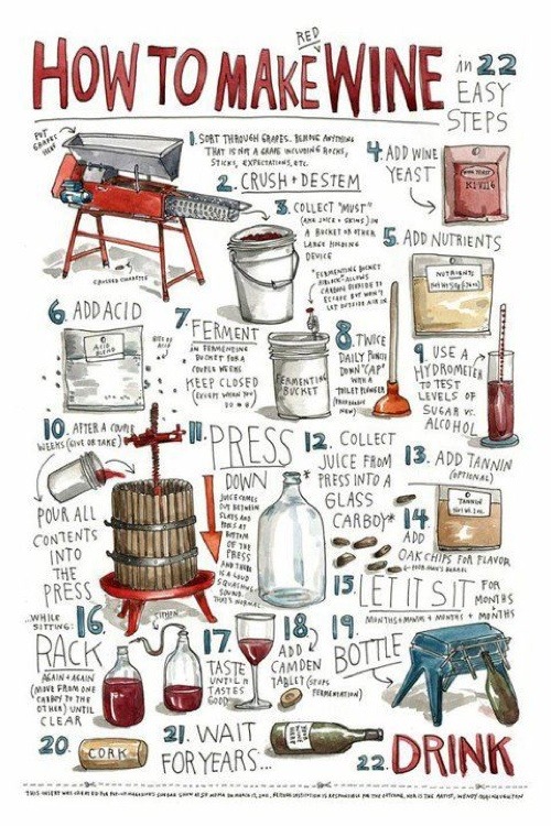 How To Make Wine&#160;?