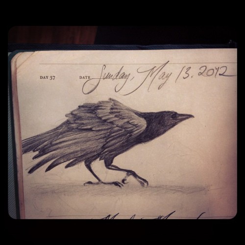 DAY 37. #asketchaday [May 13th, 2012]