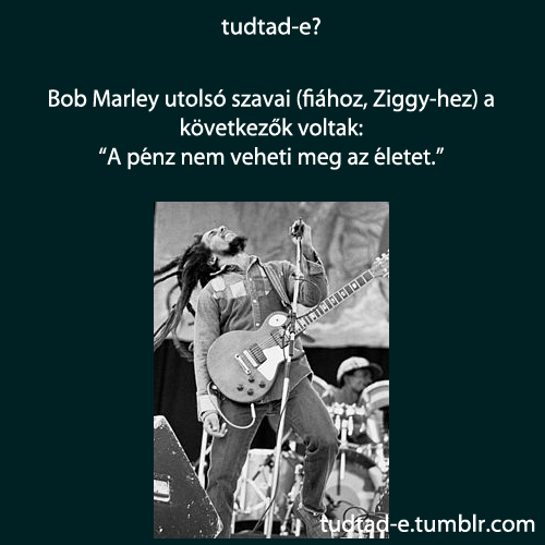 <p>Bob Marley utolsó szavai (fiához, Ziggy-hez) a következők voltak:</p>
<p>“A pénz nem veheti meg az életet.”</p>