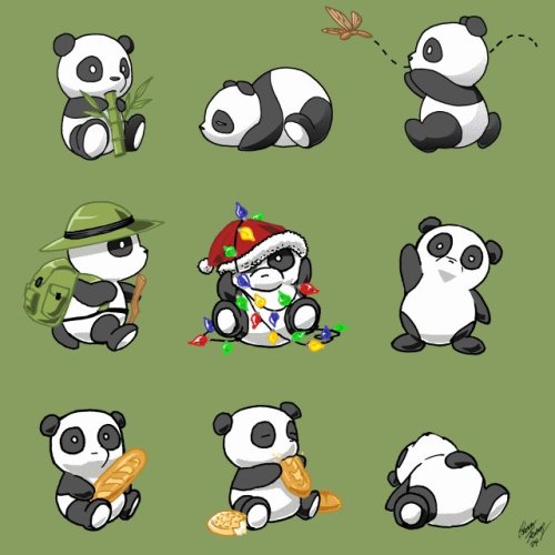 Dibujo Oso Panda Tierno Imagui