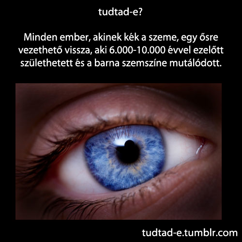 <p>Minden ember, akinek kék a szeme, egy ősre vezethető vissza, aki 6.000-10.000 évvel ezelőtt születhetett és a barna szemszíne mutálódott.</p>