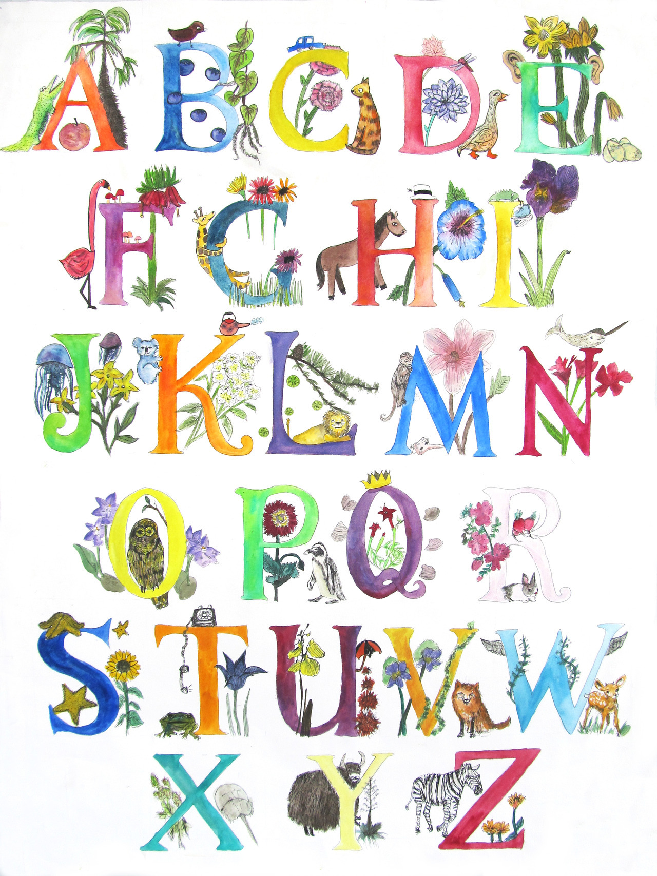 Alphabet by Jenny Jaser Lettering alphabet, Animal