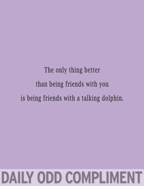 &#8220;Friendly Dolphin&#8221;