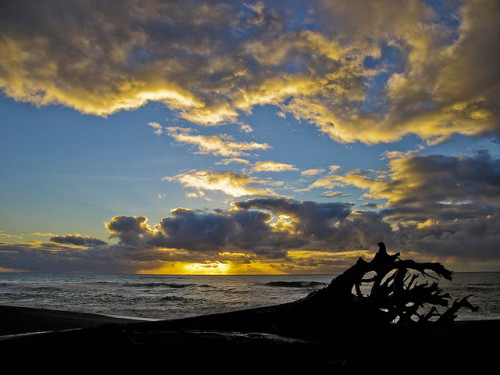 Sunset at Paradise Point Beach in Port Orford, Oregon by Lance & Cromwell (home safe-pictures coming) on Flickr.