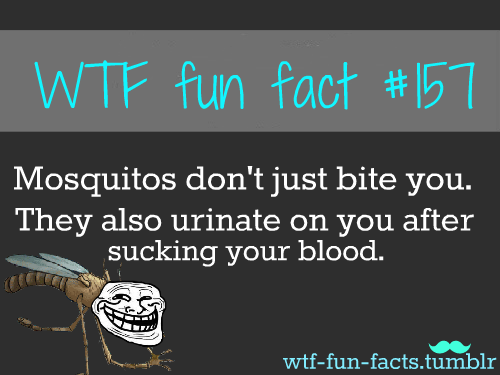 MORE OF WTF-FUN-FACTS ARE COMING HERE