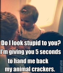 Baby  Niall on Niall Horan   Baby Lux   Funny   One Direction