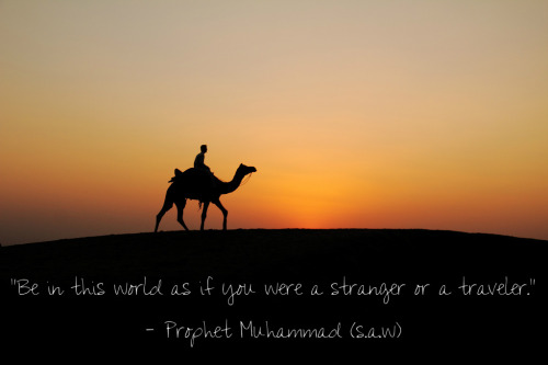 Abdullah ibn Umar (رضي الله عنه) reported: Rasulullah (صلى الله عليه وسلم) took hold of my shoulder and said, “Be in this world as if you were a stranger or a traveler.” Mujahid added: Ibn Umar used to say, “If you survive till the evening, do not expect to be alive in the morning, and if you survive till the morning, do not expect to be alive in the evening, and take from your health for your sickness, and (take) from your life for your death.”

— [Sahih Bukhari, Book 76, no. 425]
