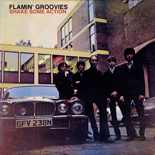 The Flaming Groovie: Shake Some Action