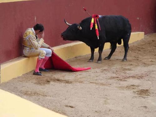 almostnormalboy:

mushaka:

santosha65:


This incredible photo marks the end of Matador Torero Alvaro Munera’s career. He collapsed in remorse mid-fight when he realized he was having to prompt this otherwise gentle beast to fight. He went on to become an avid opponent of bullfights. Even grievously wounded by picadors, he did not attack this man.
Torrero Munera is quoted as saying of this moment: “And suddenly, I looked at the bull. He had this innocence that all animals have in their eyes, and he looked at me with this pleading. It was like a cry for justice, deep down inside of me. I describe it as being like a prayer - because if one confesses, it is hoped, that one is forgiven. I felt like the worst shit on earth.”


I’ve reblogged this at least two other times but this is possibly one of my favorite photos ever.



